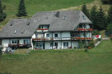 Gemütliches Schwarzwaldhaus mit Balkon, umgeben von grünen Wiesen und Tannenbäumen, ideal für Natur-.