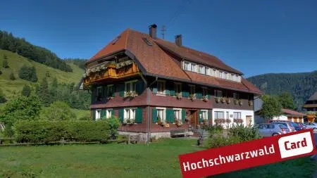Traditionelles Schwarzwaldhaus mit Balkon und Garten in Hochschwarzwald.