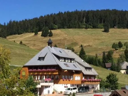 Schwarzwaldhaus mit Blumen im Garten, umgeben von Wäldern und Hügeln.