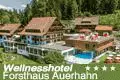 Wellnesshotel Forsthaus Auerhahn