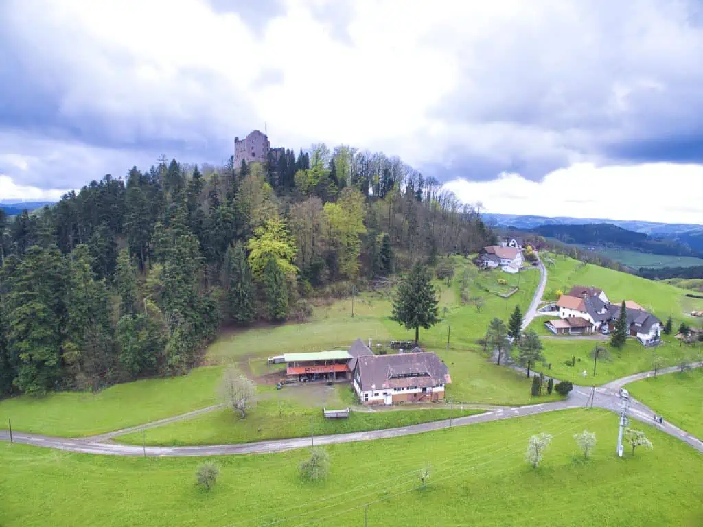 Der Geroldsecker Burgpfad 4 Burg Hohengeroldseck