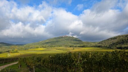 Schwarzwald Landschaft mit Weinbergen und sanften Hügeln unter einem bewölkten Himmel.