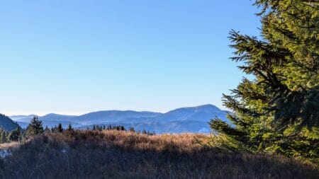 Belchen im Schwarzwald